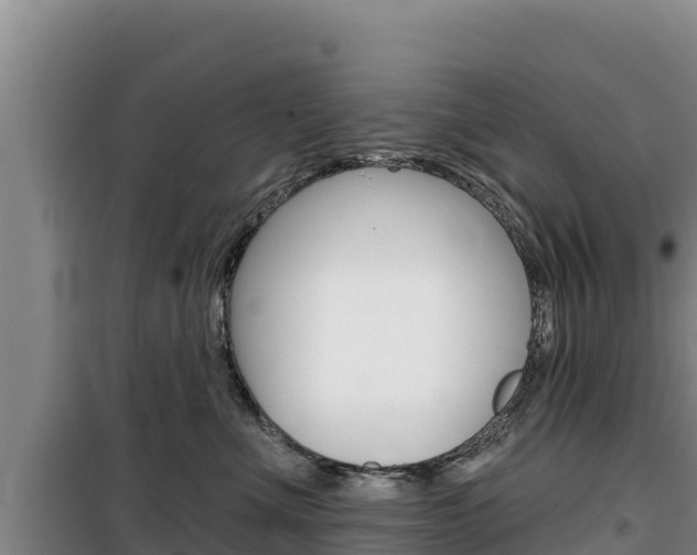 X0000100200523200805300750