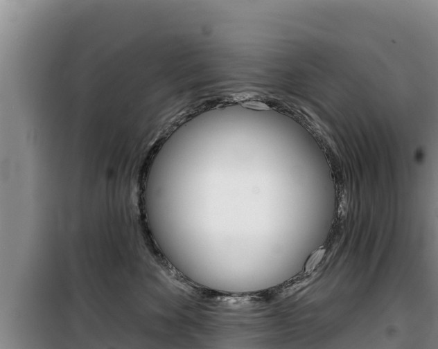 X0000100200524200805300750
