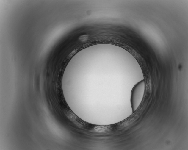 X0000100200526200805300750