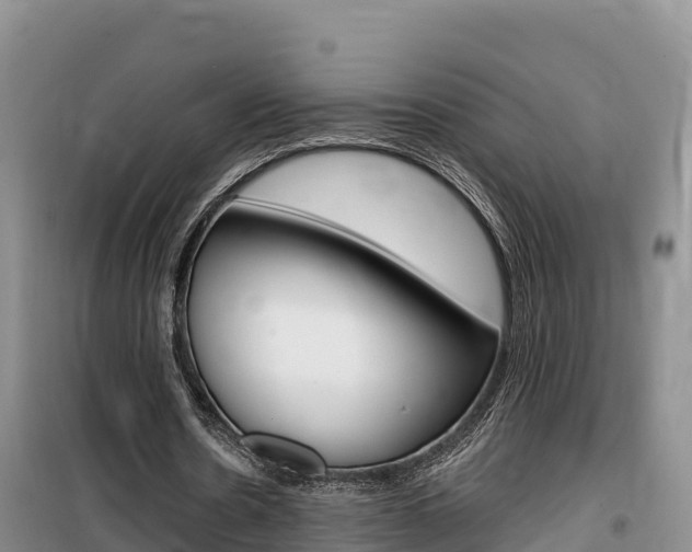 X0000100200530200805300749