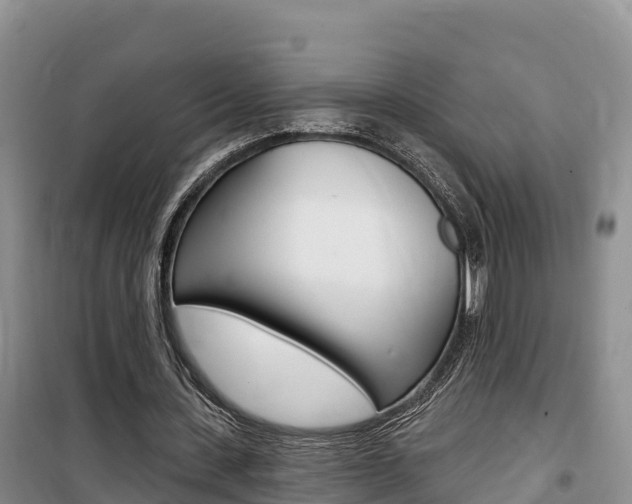 X0000100200531200805300749