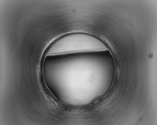 X0000100200532200805300749
