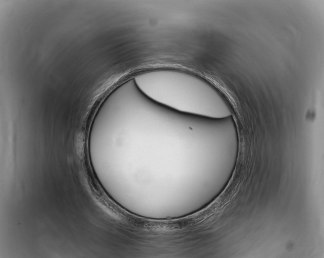 X0000100200533200805300749