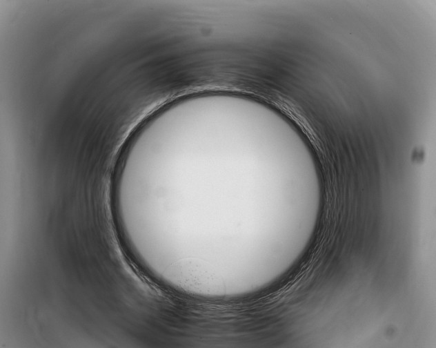 X0000100200534200805300749