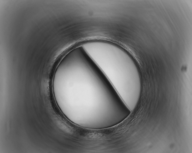 X0000100200535200805300749