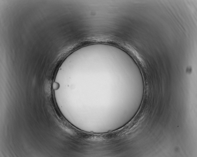 X0000100200537200805300749