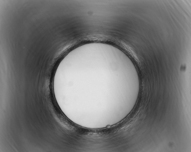 X0000100200538200805300749
