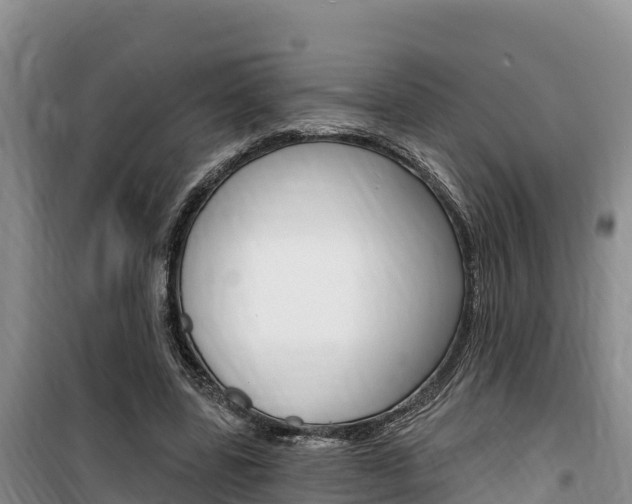 X0000100200539200805300749