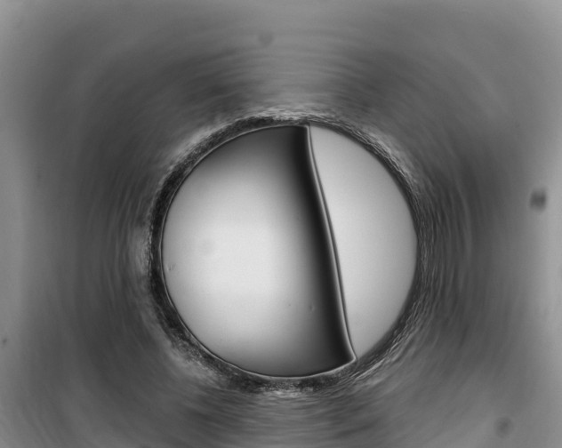 X0000100200540200805300749