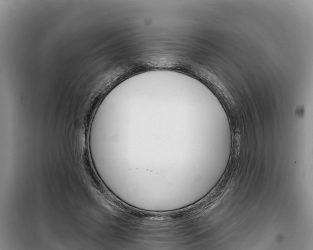 X0000100200541200805300749