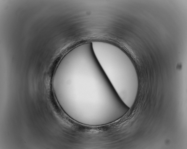 X0000100200542200805300749