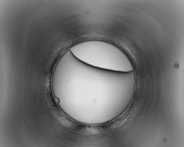 X0000100200545200805300749