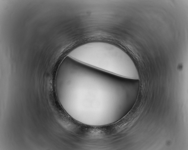 X0000100200547200805300749