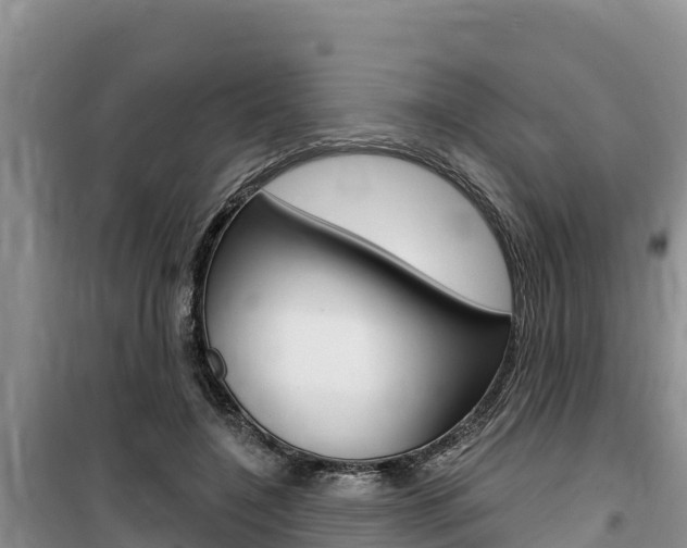X0000100200548200805300749
