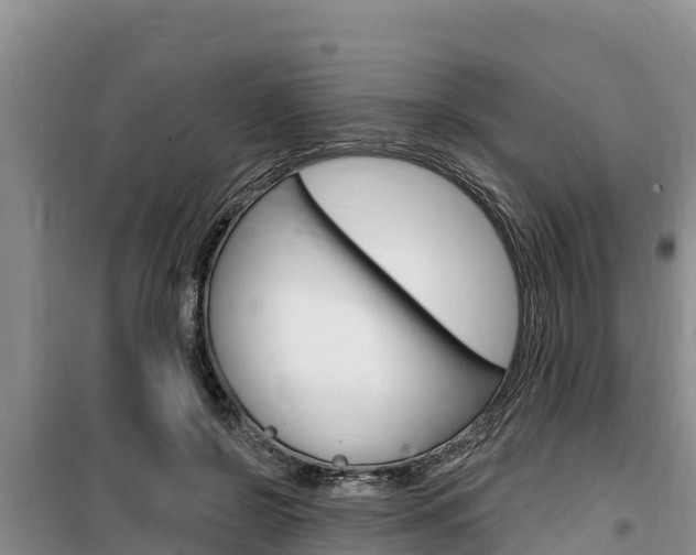 X0000100200550200805300749