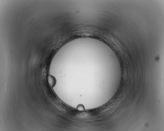 X0000100200551200805300749