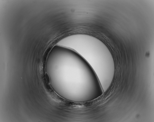 X0000100200552200805300749