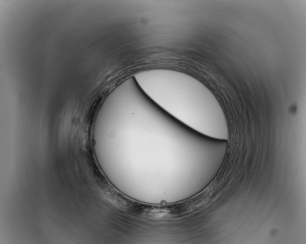 X0000100200554200805300749