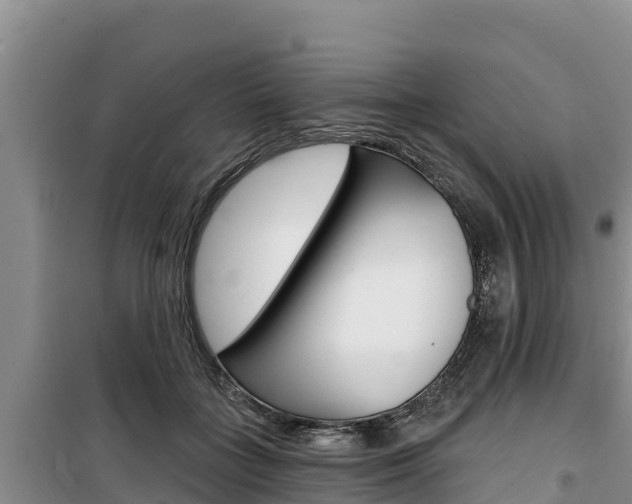 X0000100200555200805300749