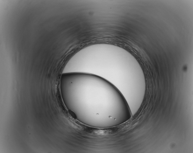 X0000100200558200805300749