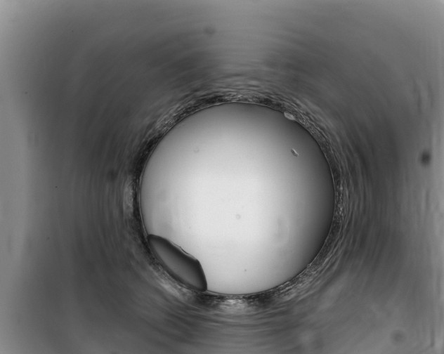 X0000100200562200805300750