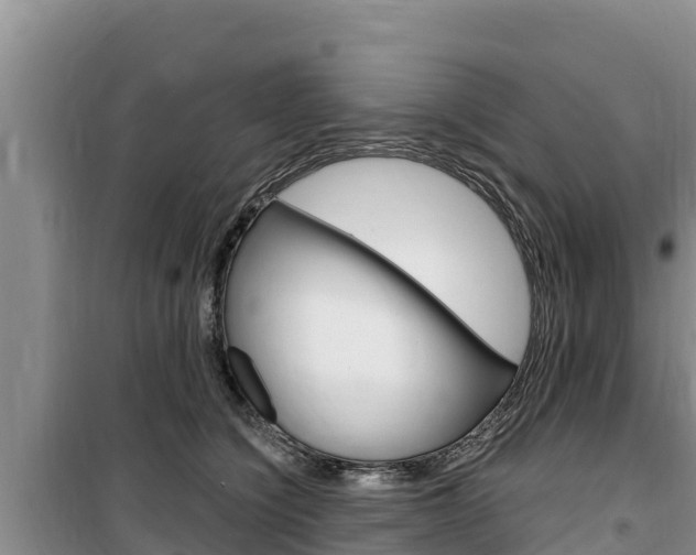 X0000100200564200805300750