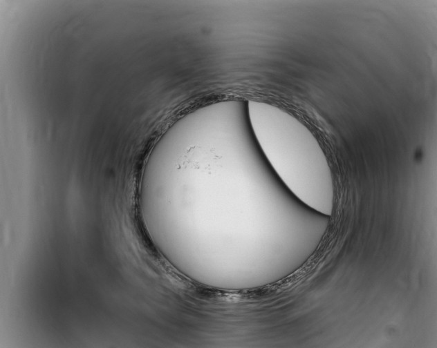 X0000100200565200805300750