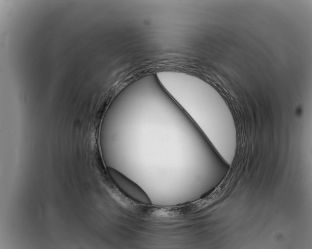 X0000100200568200805300750