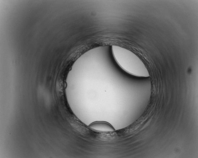 X0000100200571200805300750
