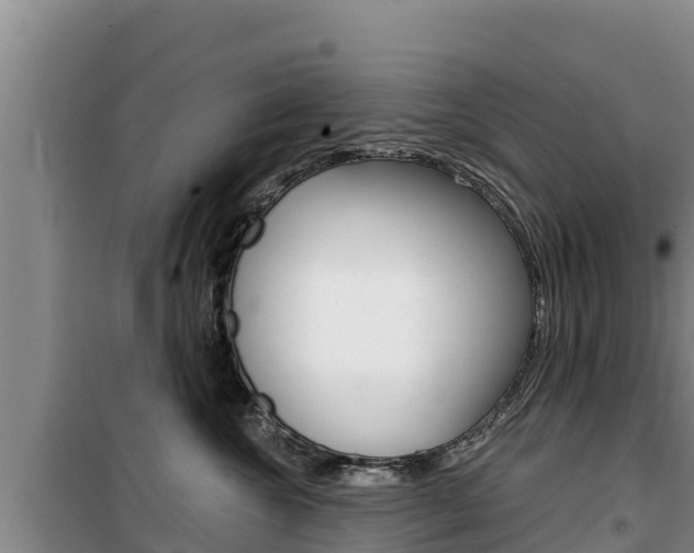 X0000100200572200805300750