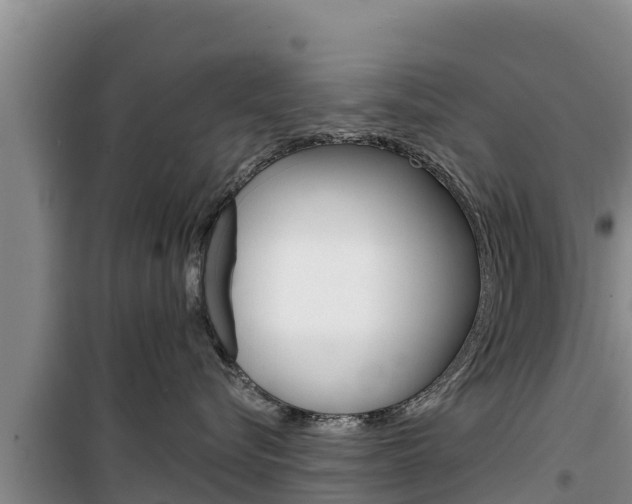 X0000100200576200805300750