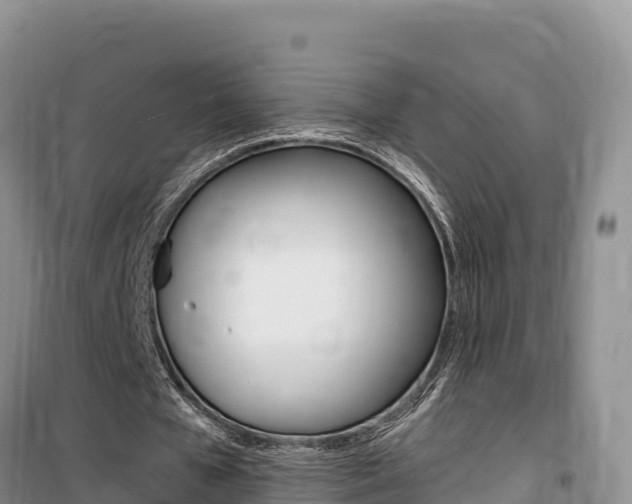 X0000100200577200805300749