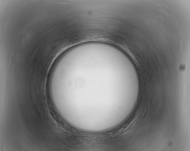 X0000100200579200805300749