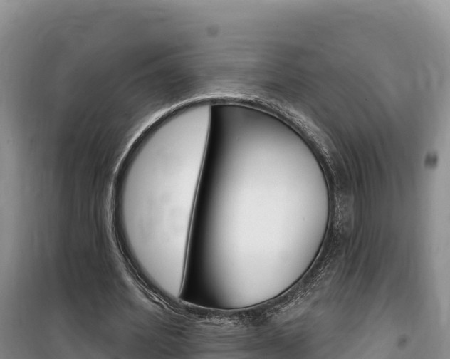 X0000100200580200805300749