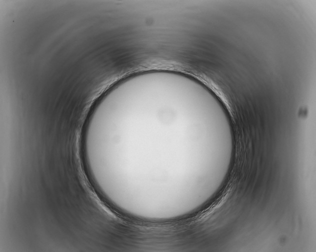 X0000100200581200805300749