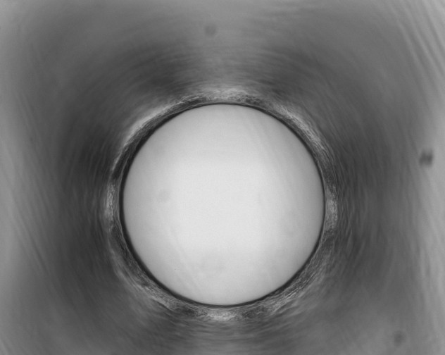 X0000100200583200805300749