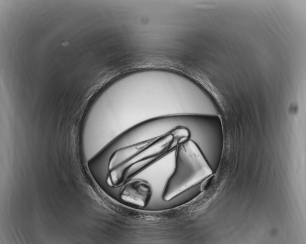 X0000100200585200805300749