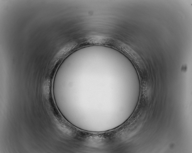 X0000100200586200805300749