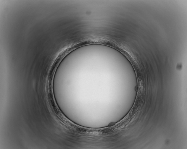 X0000100200587200805300749