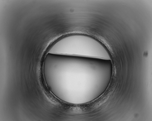 X0000100200588200805300749