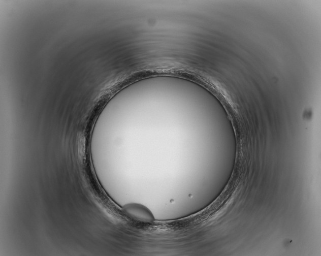 X0000100200589200805300749