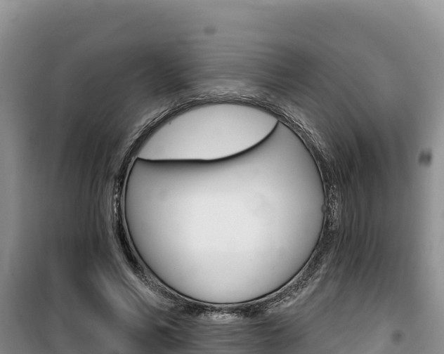 X0000100200590200805300749