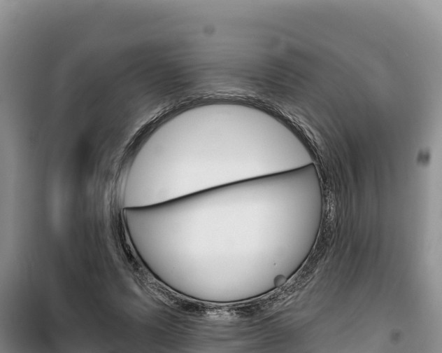 X0000100200591200805300749