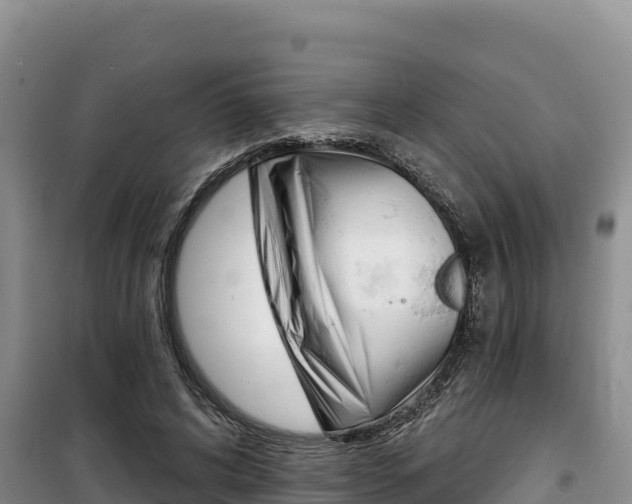 X0000100200592200805300749
