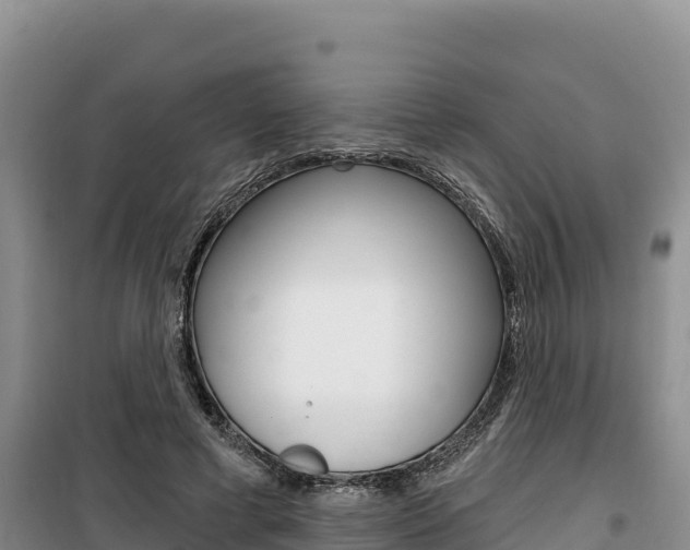 X0000100200593200805300749