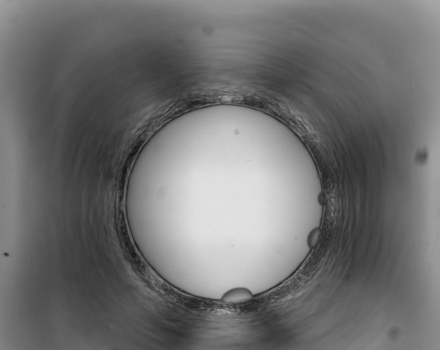X0000100200594200805300749