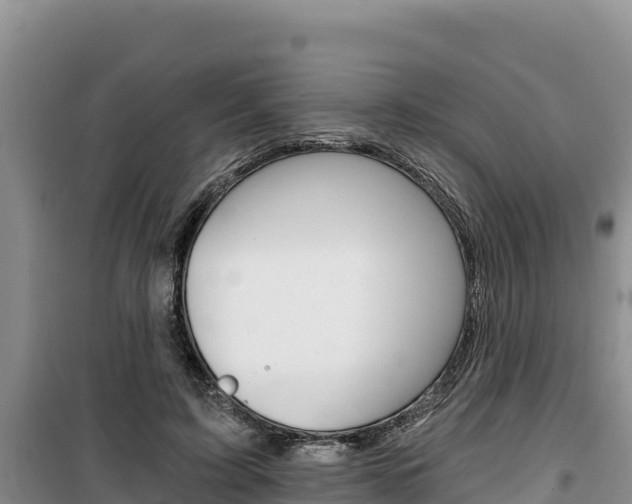 X0000100200595200805300749