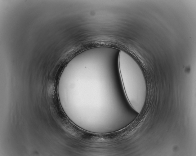 X0000100200597200805300749