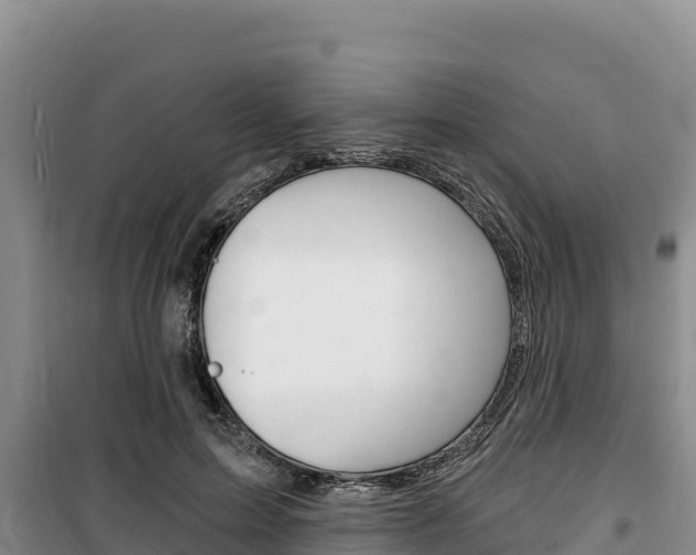 X0000100200599200805300748