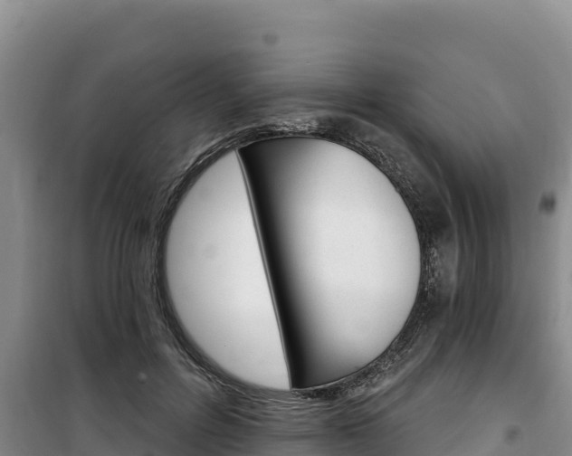 X0000100200600200805300748